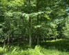 Lots 11 & 13 Cherry Wood Lane, Terra Alta, West Virginia 26764, ,Lots/land,For Sale,Cherry Wood,10152691