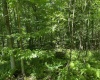 Lots 11 & 13 Cherry Wood Lane, Terra Alta, West Virginia 26764, ,Lots/land,For Sale,Cherry Wood,10152691