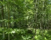 Lots 11 & 13 Cherry Wood Lane, Terra Alta, West Virginia 26764, ,Lots/land,For Sale,Cherry Wood,10152691