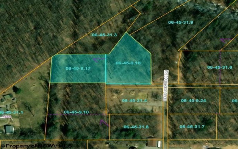 Lots 11 & 13 Cherry Wood Lane, Terra Alta, West Virginia 26764, ,Lots/land,For Sale,Cherry Wood,10152691