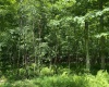 Lots 11 & 13 Cherry Wood Lane, Terra Alta, West Virginia 26764, ,Lots/land,For Sale,Cherry Wood,10152691