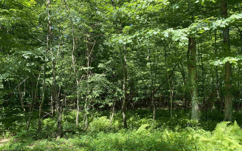 Lots 11 & 13 Cherry Wood Lane, Terra Alta, West Virginia 26764, ,Lots/land,For Sale,Cherry Wood,10152691