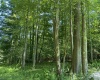 Lots 11 & 13 Cherry Wood Lane, Terra Alta, West Virginia 26764, ,Lots/land,For Sale,Cherry Wood,10152691