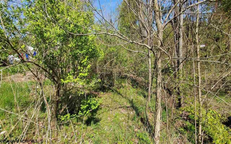 TBD POINT MARION Road, Morgantown, West Virginia 26508, ,Lots/land,For Sale,POINT MARION,10137523