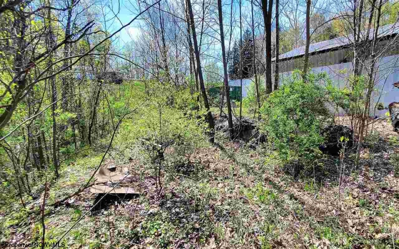 TBD POINT MARION Road, Morgantown, West Virginia 26508, ,Lots/land,For Sale,POINT MARION,10137523