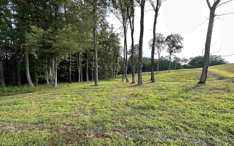 36 Stonecrest Drive, Grafton, West Virginia 26354, ,Lots/land,For Sale,Stonecrest,10150467