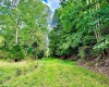 1192 Kites Road, Petersburg, West Virginia 26847, ,Lots/land,For Sale,Kites,10155866