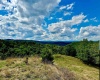 1192 Kites Road, Petersburg, West Virginia 26847, ,Lots/land,For Sale,Kites,10155866