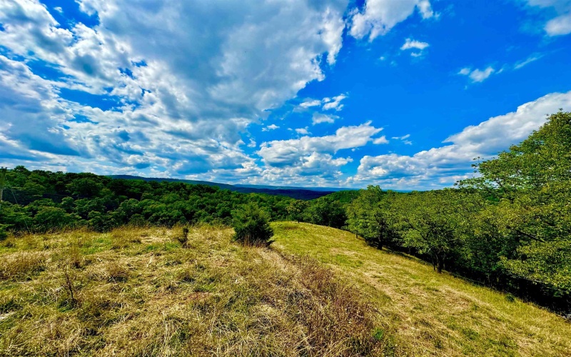 1192 Kites Road, Petersburg, West Virginia 26847, ,Lots/land,For Sale,Kites,10155866