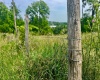 1192 Kites Road, Petersburg, West Virginia 26847, ,Lots/land,For Sale,Kites,10155866
