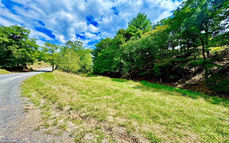 1192 Kites Road, Petersburg, West Virginia 26847, ,Lots/land,For Sale,Kites,10155866