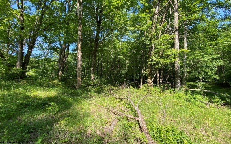 Tract C Halleck Road, Morgantown, West Virginia 26508, ,Lots/land,For Sale,Halleck,10149320