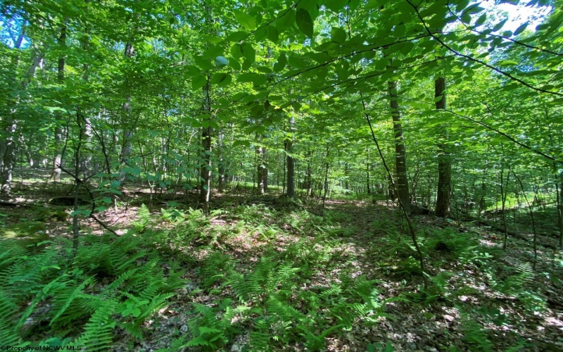 Tract C Halleck Road, Morgantown, West Virginia 26508, ,Lots/land,For Sale,Halleck,10149320