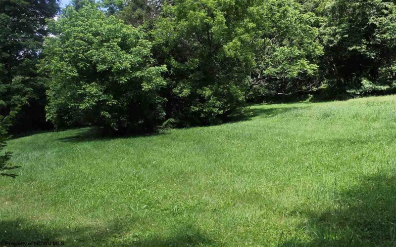 Lot 4 Knapp Street, Elkins, West Virginia 26241, ,Lots/land,For Sale,Knapp,10126722