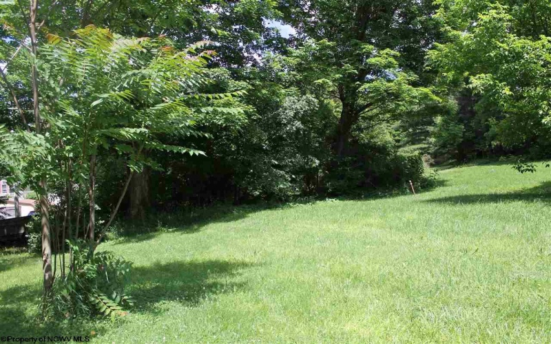 Lot 4 Knapp Street, Elkins, West Virginia 26241, ,Lots/land,For Sale,Knapp,10126722