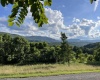 Lot 3 Stonecam Panoramic Drive, Davis, West Virginia 26260, ,Lots/land,For Sale,Panoramic,10155941