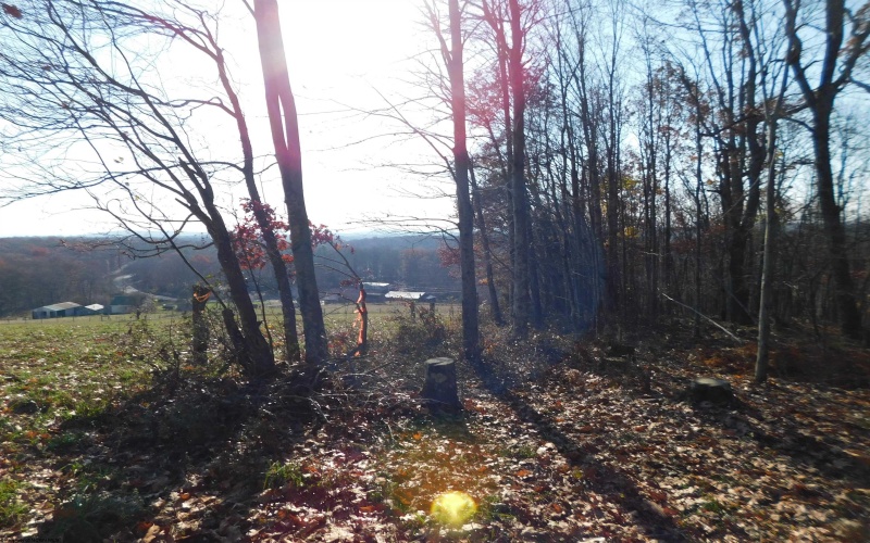 33213A Veterans Memorial Highway, Terra Alta, West Virginia 26764, ,Lots/land,For Sale,Veterans Memorial,10151997