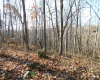 33213A Veterans Memorial Highway, Terra Alta, West Virginia 26764, ,Lots/land,For Sale,Veterans Memorial,10151997