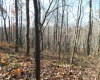 33213A Veterans Memorial Highway, Terra Alta, West Virginia 26764, ,Lots/land,For Sale,Veterans Memorial,10151997