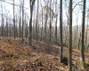 33213A Veterans Memorial Highway, Terra Alta, West Virginia 26764, ,Lots/land,For Sale,Veterans Memorial,10151997