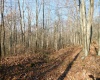 33213A Veterans Memorial Highway, Terra Alta, West Virginia 26764, ,Lots/land,For Sale,Veterans Memorial,10151997