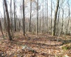 33213A Veterans Memorial Highway, Terra Alta, West Virginia 26764, ,Lots/land,For Sale,Veterans Memorial,10151997