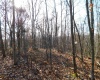 33213A Veterans Memorial Highway, Terra Alta, West Virginia 26764, ,Lots/land,For Sale,Veterans Memorial,10151997