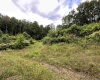 TBD Veterans Memorial Highway, Kingwood, West Virginia 26537, ,Lots/land,For Sale,Veterans Memorial,10150543