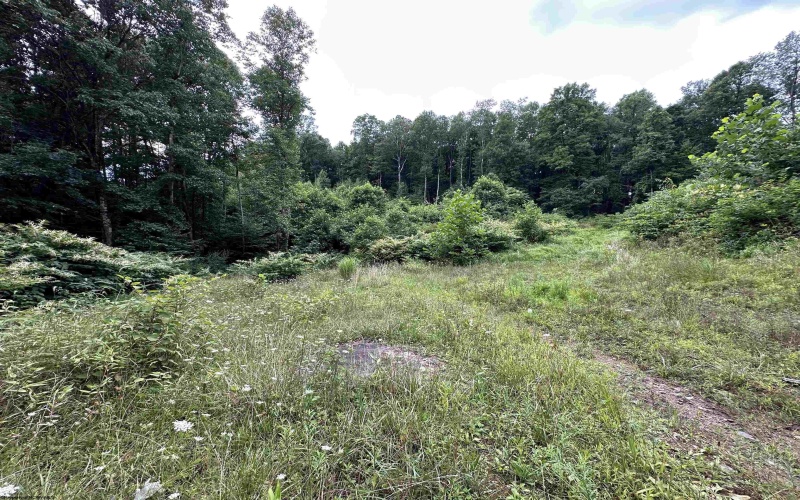 TBD Veterans Memorial Highway, Kingwood, West Virginia 26537, ,Lots/land,For Sale,Veterans Memorial,10150543