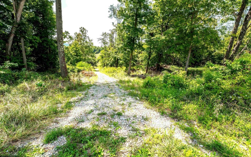 000 Bowers Lane, Morgantown, West Virginia 26508, ,Lots/land,For Sale,Bowers,10156023