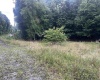 6187 Coalfield Trail, Quinwood, West Virginia 25981, ,Lots/land,For Sale,Coalfield,10156086