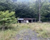 6187 Coalfield Trail, Quinwood, West Virginia 25981, ,Lots/land,For Sale,Coalfield,10156086