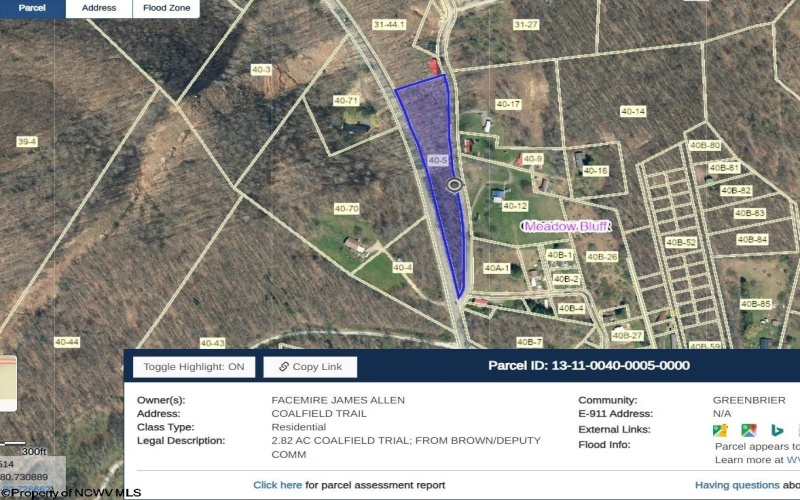 TBD Coalfield Trail, Charmco, West Virginia 25958, ,Lots/land,For Sale,Coalfield,10156085