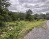 TBD Midland Trail, Rupert, West Virginia 25984, ,Lots/land,For Sale,Midland,10156089