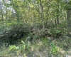 Lot 70 Pine Drive, Terra Alta, West Virginia 26764, ,Lots/land,For Sale,Pine,10156101