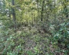 Lot 70 Pine Drive, Terra Alta, West Virginia 26764, ,Lots/land,For Sale,Pine,10156101