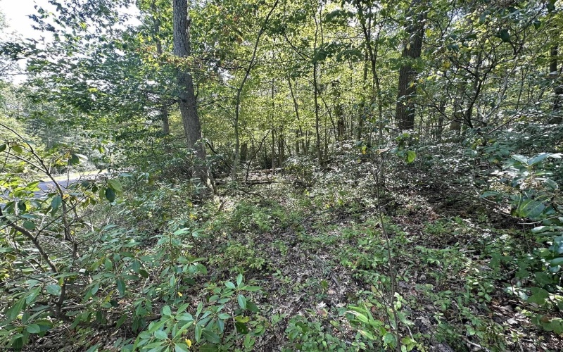 Lot 70 Pine Drive, Terra Alta, West Virginia 26764, ,Lots/land,For Sale,Pine,10156101