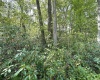 Lot 70 Pine Drive, Terra Alta, West Virginia 26764, ,Lots/land,For Sale,Pine,10156101