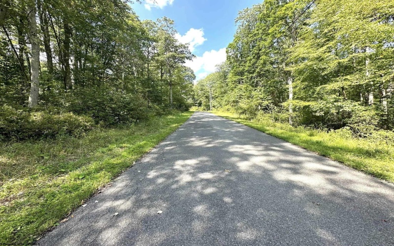 Lot 70 Pine Drive, Terra Alta, West Virginia 26764, ,Lots/land,For Sale,Pine,10156101