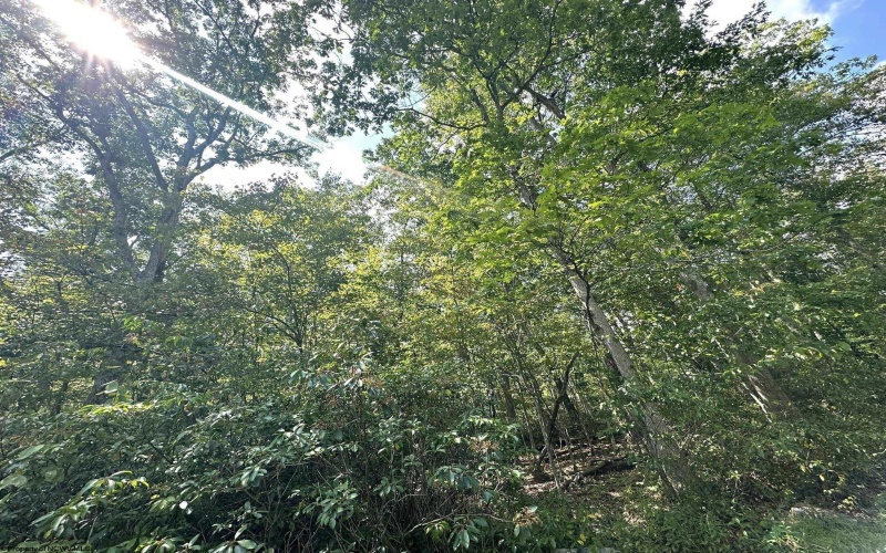 Lot 70 Pine Drive, Terra Alta, West Virginia 26764, ,Lots/land,For Sale,Pine,10156101