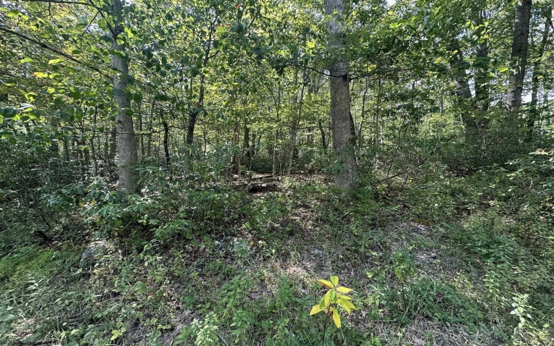 Lot 70 Pine Drive, Terra Alta, West Virginia 26764, ,Lots/land,For Sale,Pine,10156101