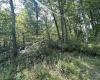 Lot 70 Pine Drive, Terra Alta, West Virginia 26764, ,Lots/land,For Sale,Pine,10156101