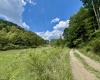 TBD Crabapple Run Road, Mannington, West Virginia 26582, ,Lots/land,For Sale,Crabapple Run,10156118