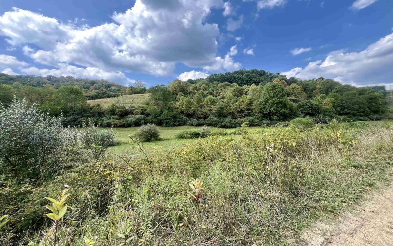 TBD Crabapple Run Road, Mannington, West Virginia 26582, ,Lots/land,For Sale,Crabapple Run,10156118