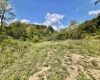 TBD Crabapple Run Road, Mannington, West Virginia 26582, ,Lots/land,For Sale,Crabapple Run,10156118