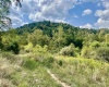 TBD Crabapple Run Road, Mannington, West Virginia 26582, ,Lots/land,For Sale,Crabapple Run,10156118