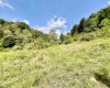 TBD Crabapple Run Road, Mannington, West Virginia 26582, ,Lots/land,For Sale,Crabapple Run,10156118