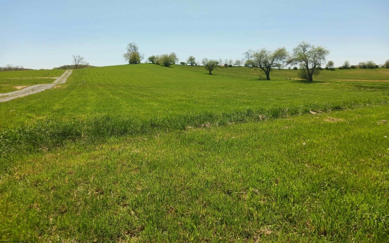 Lot 4 Sunset Drive, Buckhannon, West Virginia 26201, ,Lots/land,For Sale,Sunset,10150760