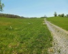 Lot 4 Sunset Drive, Buckhannon, West Virginia 26201, ,Lots/land,For Sale,Sunset,10150760