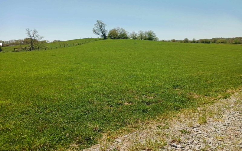 Lot 4 Sunset Drive, Buckhannon, West Virginia 26201, ,Lots/land,For Sale,Sunset,10150760